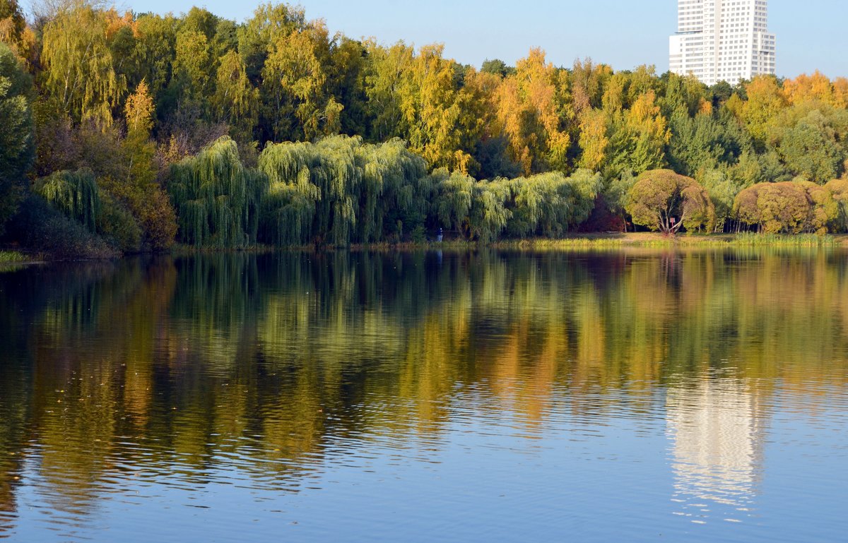 Солнечный осенний день в парке - Ольга Русанова (olg-rusanowa2010)