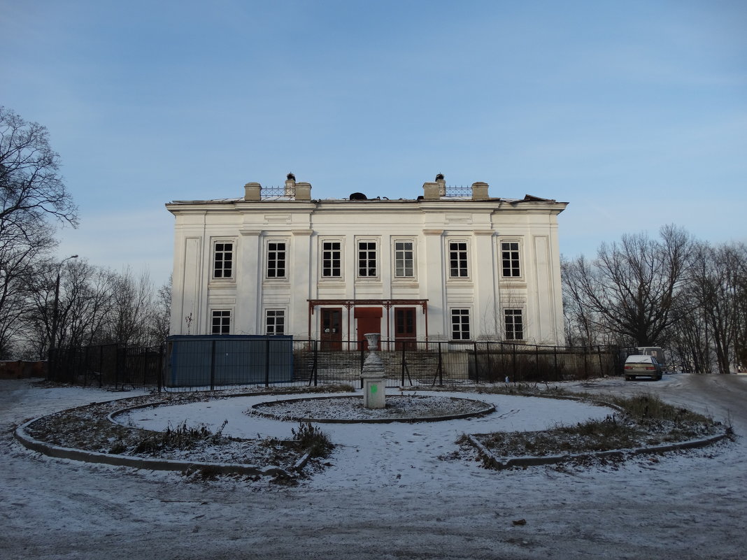 Нарышкинский дворец после пожара - Светлана Лысенко