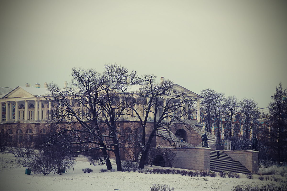В зимнем парке..... - Tatiana Markova