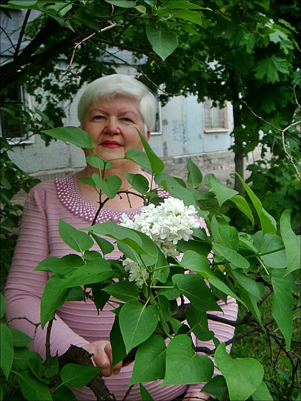 В белой сирени - Нина Корешкова
