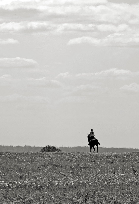 The Lonely Shepherd - Alexandr Zykov 