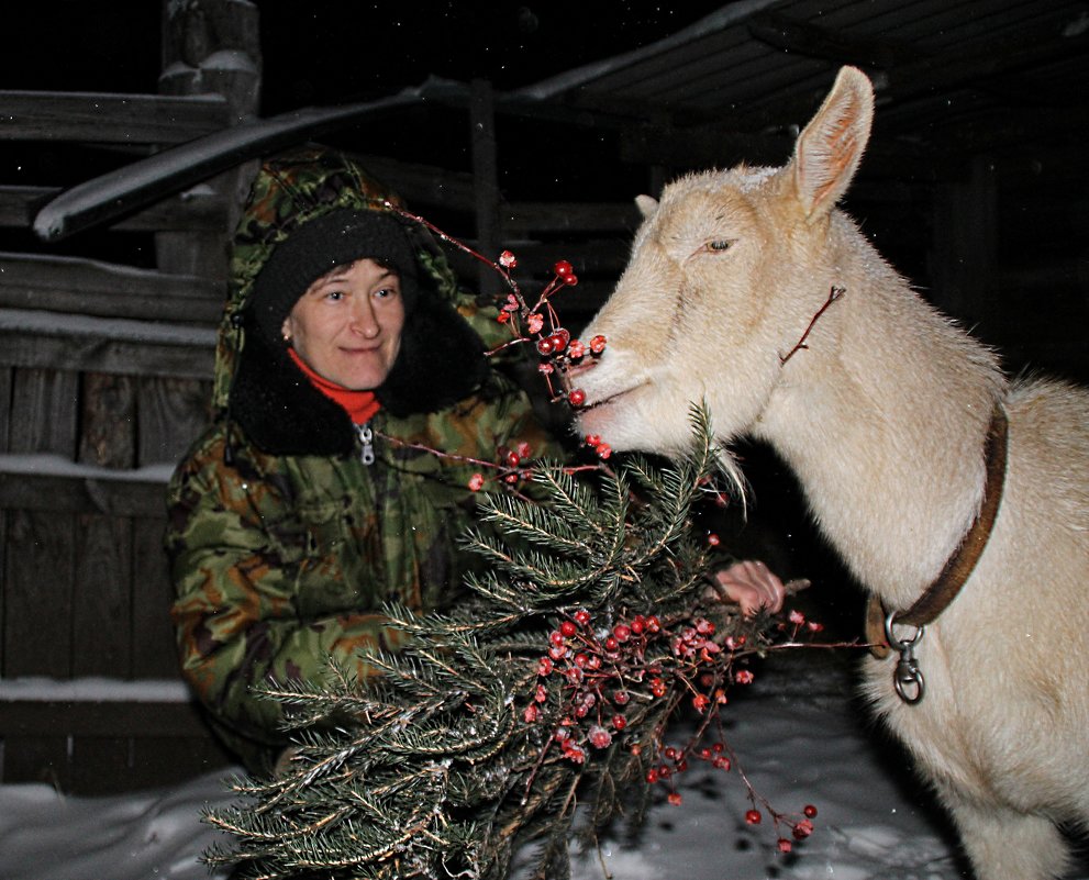 *** - Светлана Воинкова