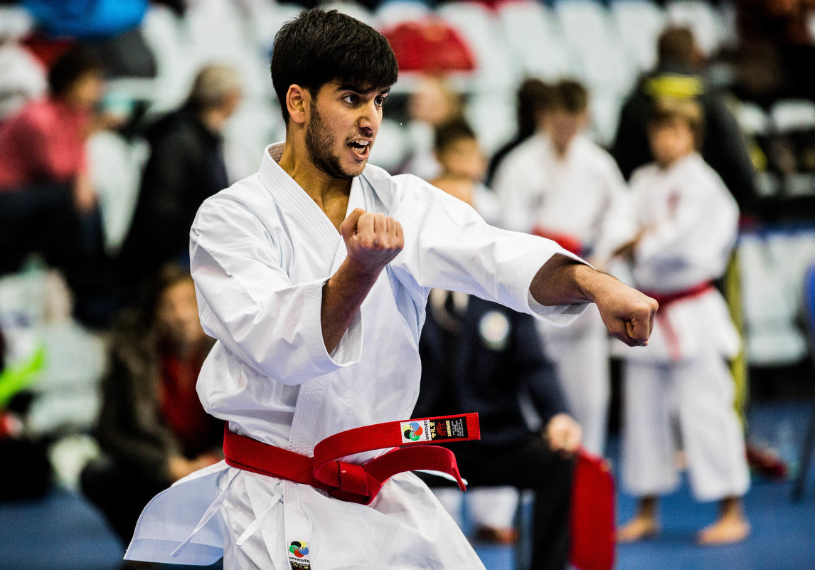 Соревнования по каратэ ( Кубок Москвы WKF) - Никита Степанов