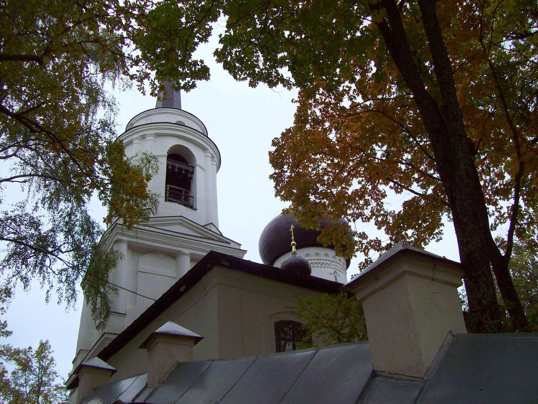 Святогорский монастырь - alemigun 