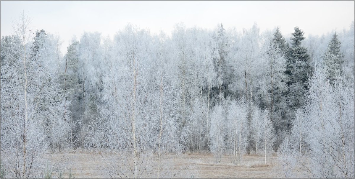 ноябрь, окончание. - Valentin Valentin