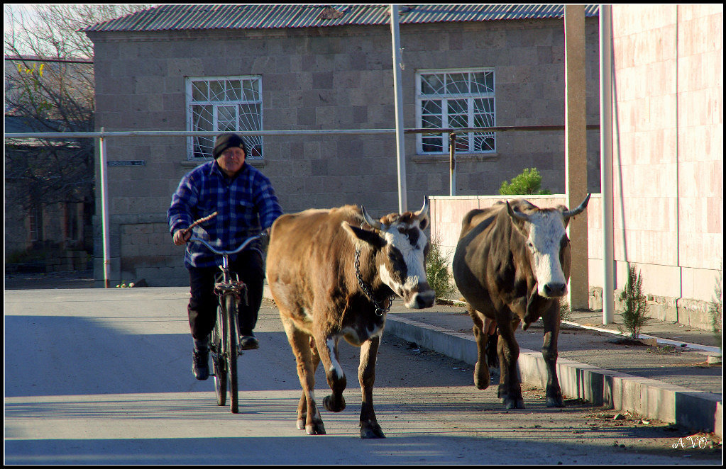 *** - AVETIS GHAZANCHYAN