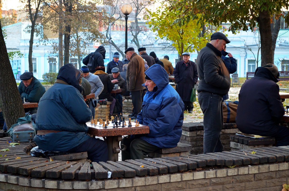 Шахматные турниры в парке - Ростислав 