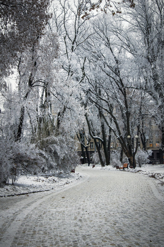 Зима в Мариинском парке - Олег Лопухов