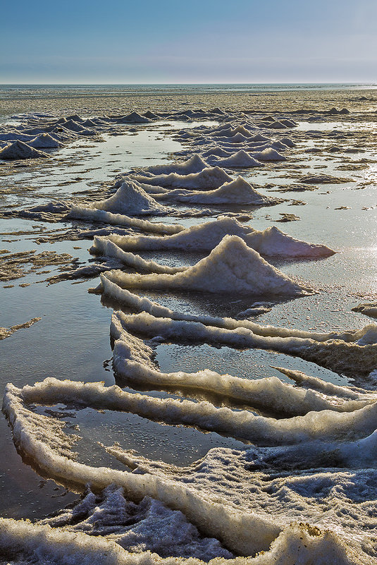 Заливный лед - Владимир Самсонов