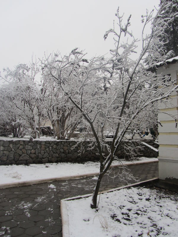 Снова зима - Oksana KU