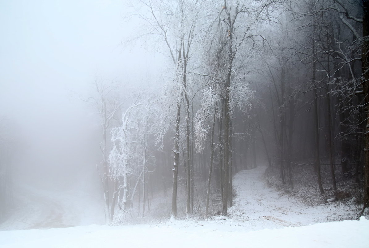 Зимний туман - Сергей *