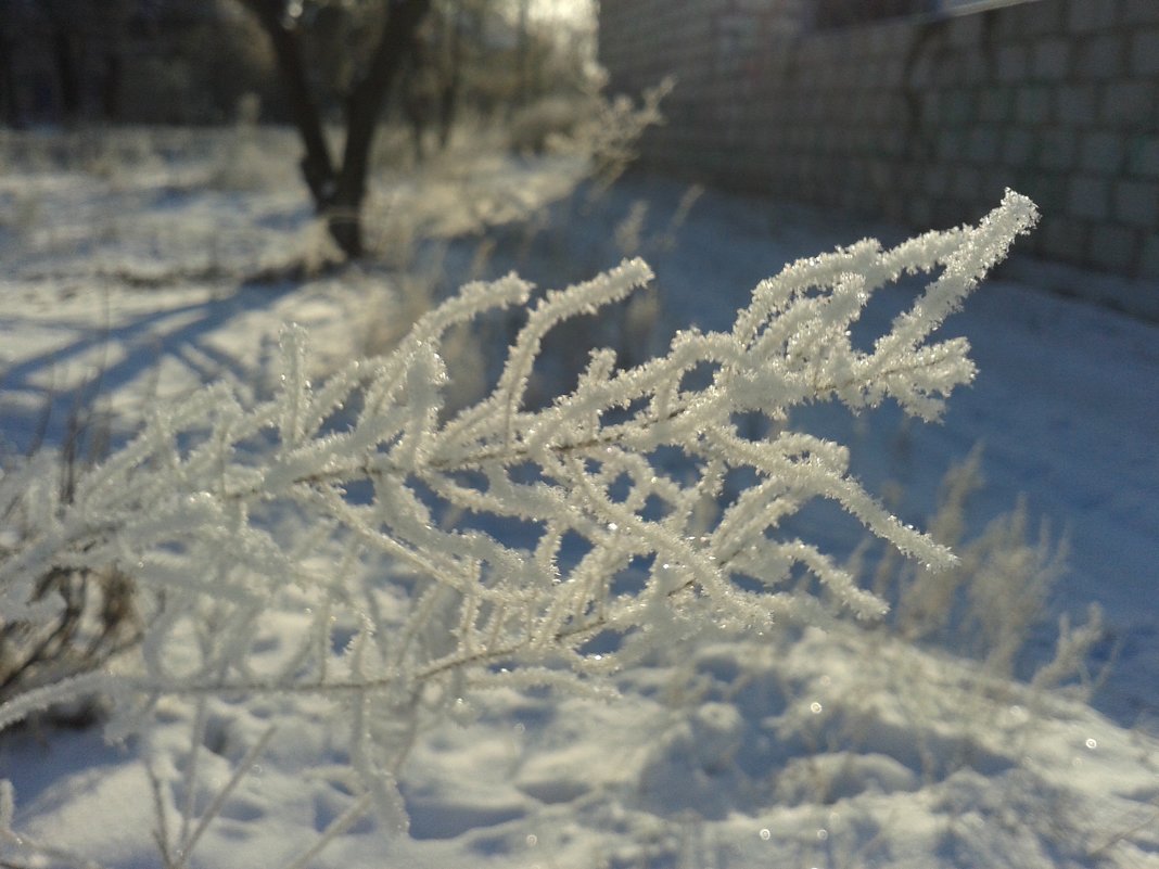 зима - Юлия Закопайло