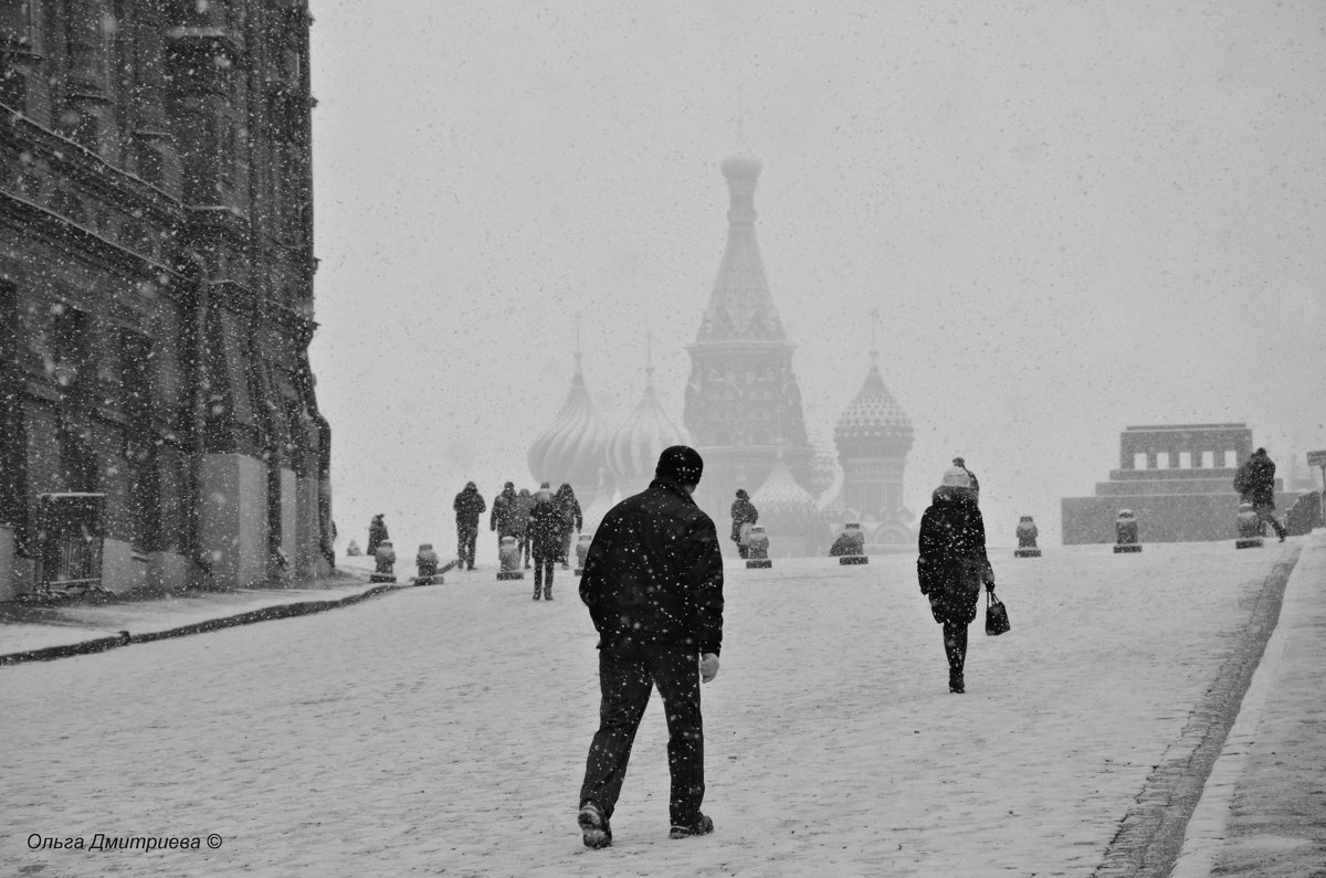 в Москве снегопад... - Ольга Дмитриева 