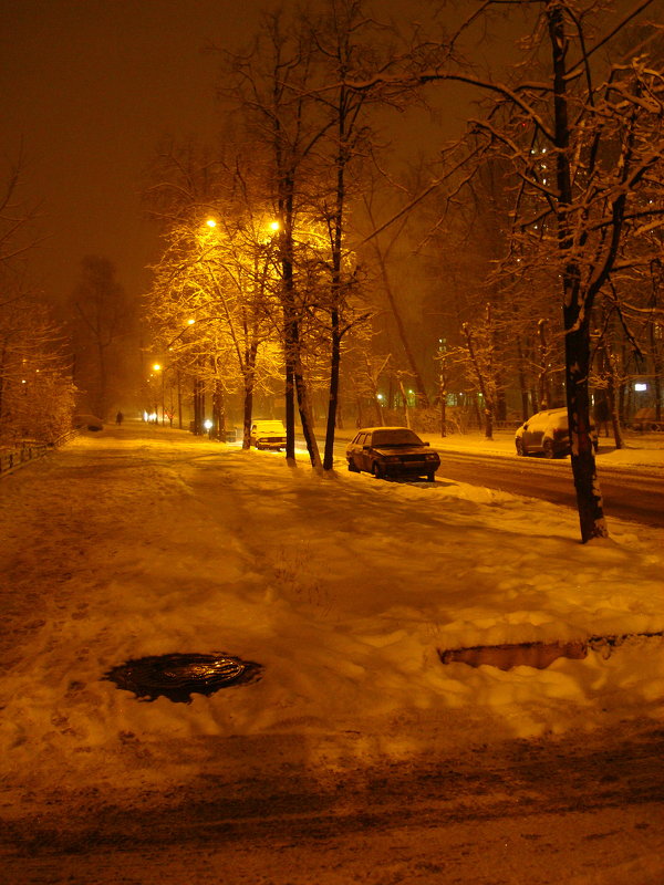 В Москве - снег (Dsc09433) - Андрей Лукьянов