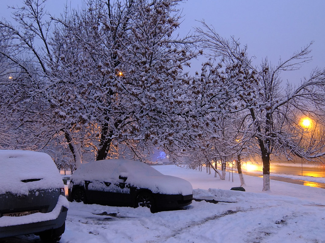 Первый снег... утро... - Ирина Шарапова