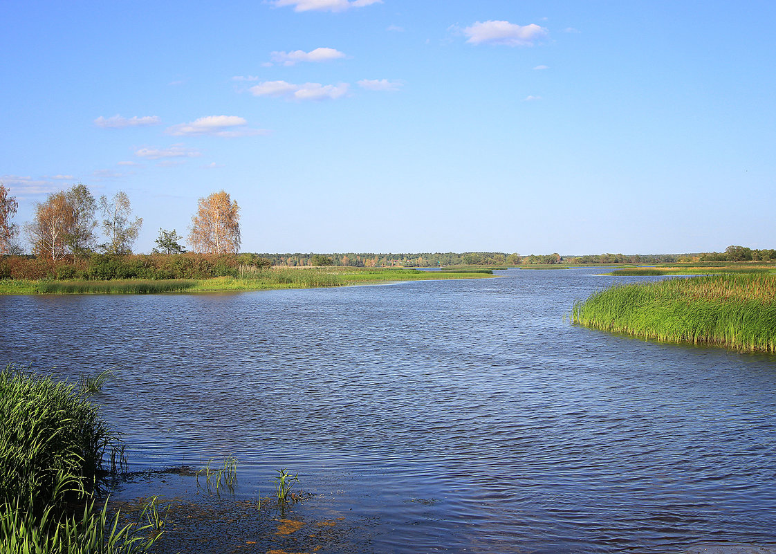 Берега великой реки - Виктор Калабухов