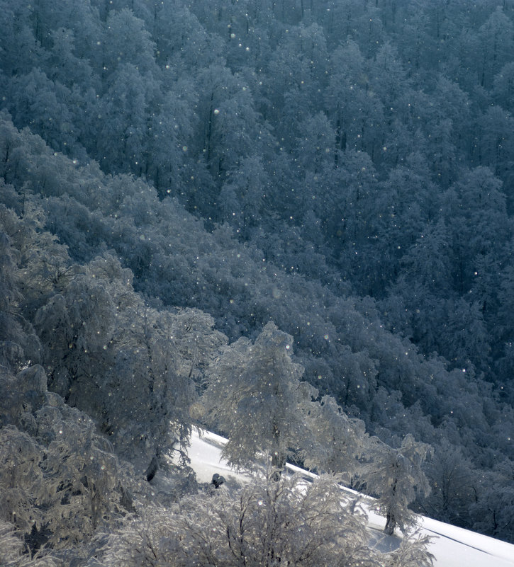 Александр Поэглис - Светящиеся снежинки - Фотоконкурс Epson