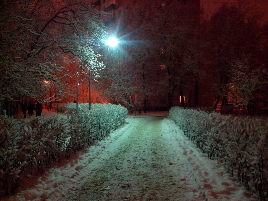 Снег вечером - Павел Михалёв