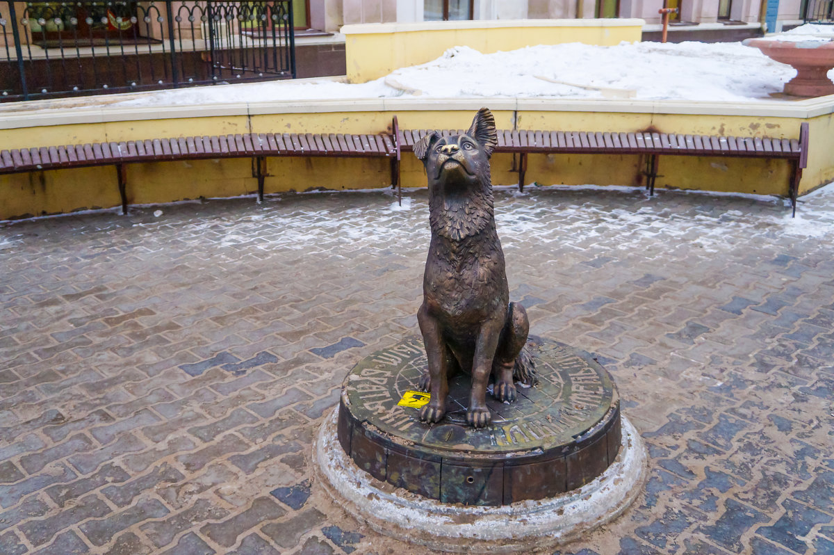 Памятник бездомной собаке. - Elena Izotova