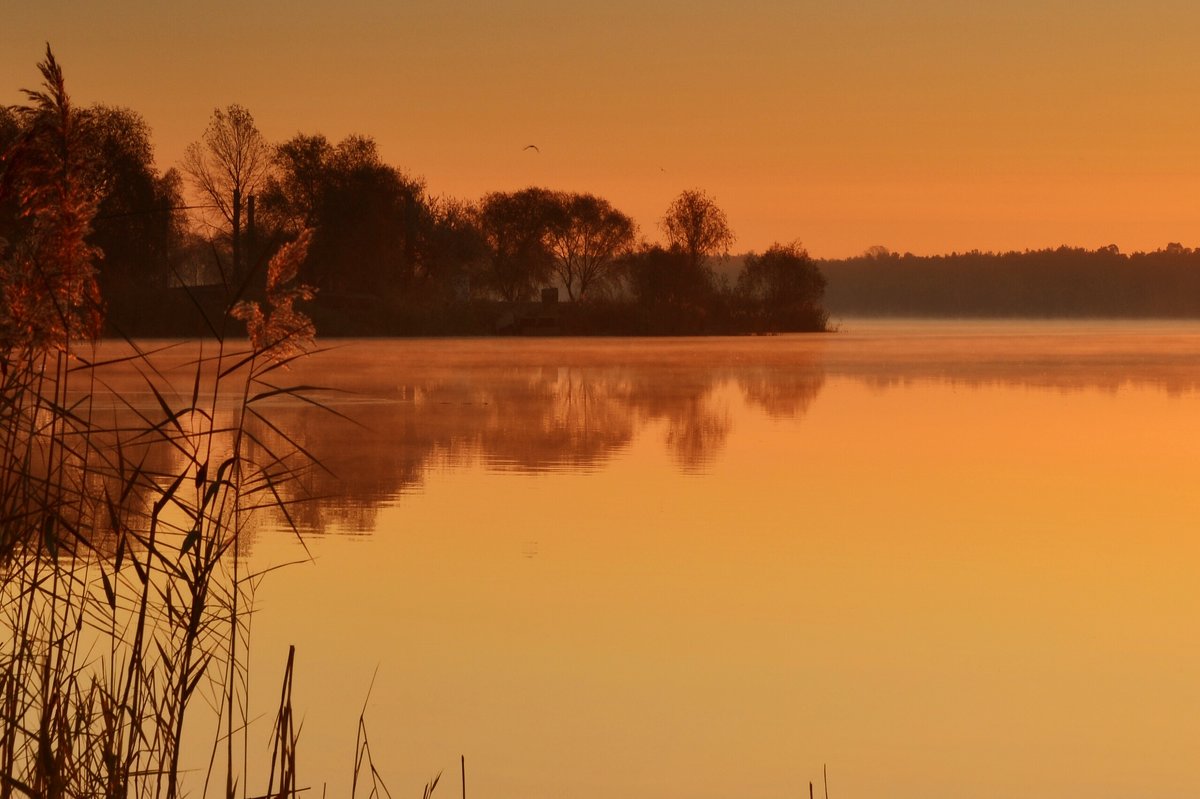 Утром на озере... - Андрей Зелёный