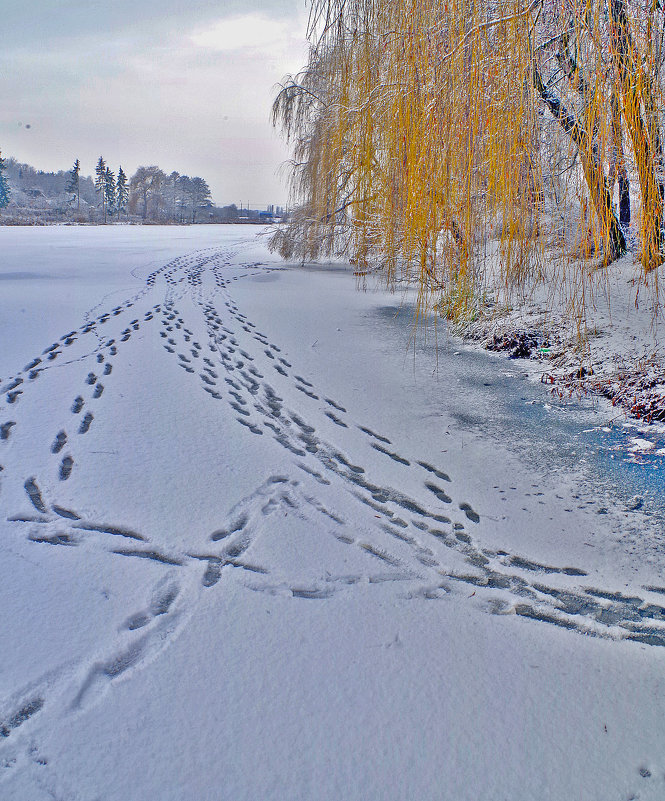 ... - юрий иванов