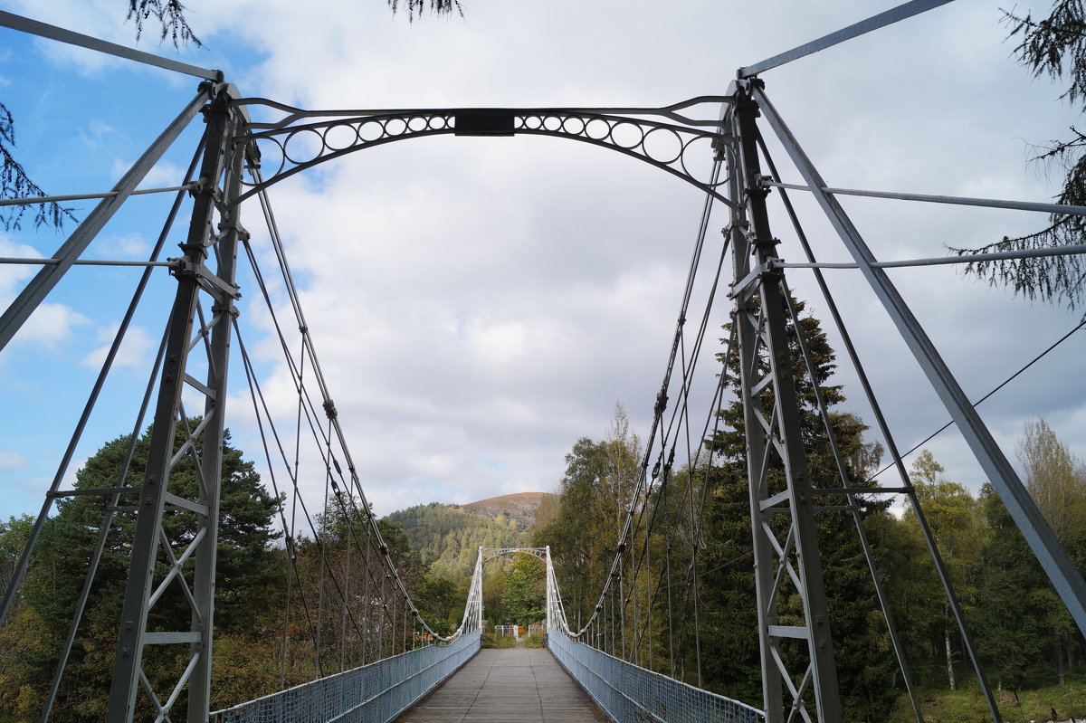 Мост через реку - Natalia Harries