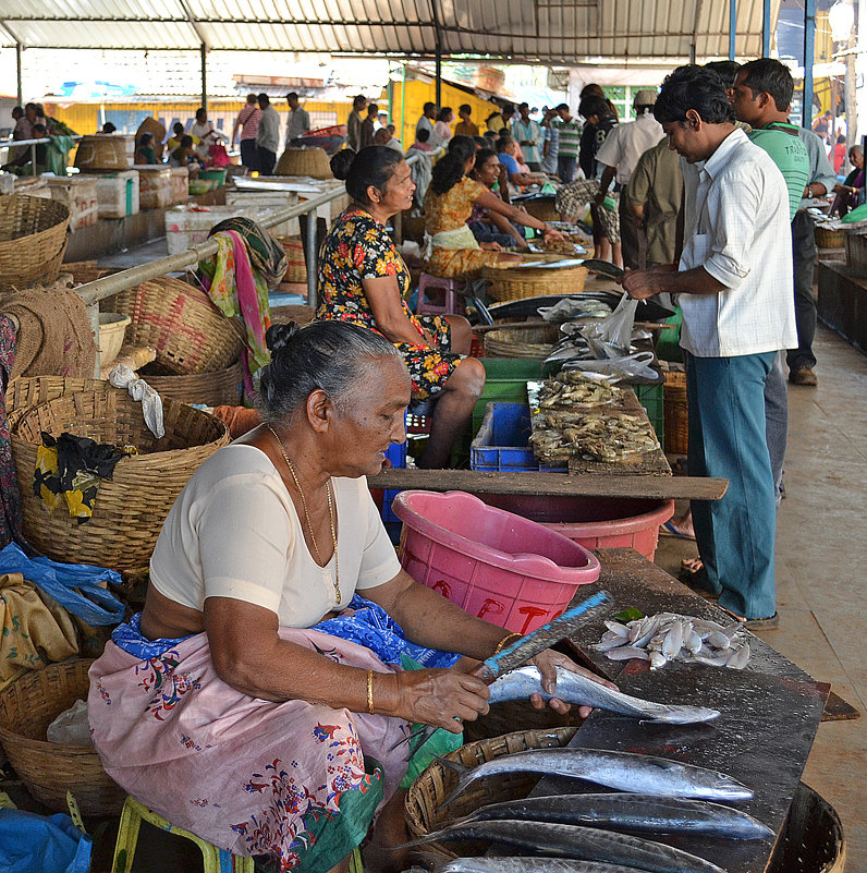 Индия. Калангут. Рыбный рынок - Владимир Шибинский
