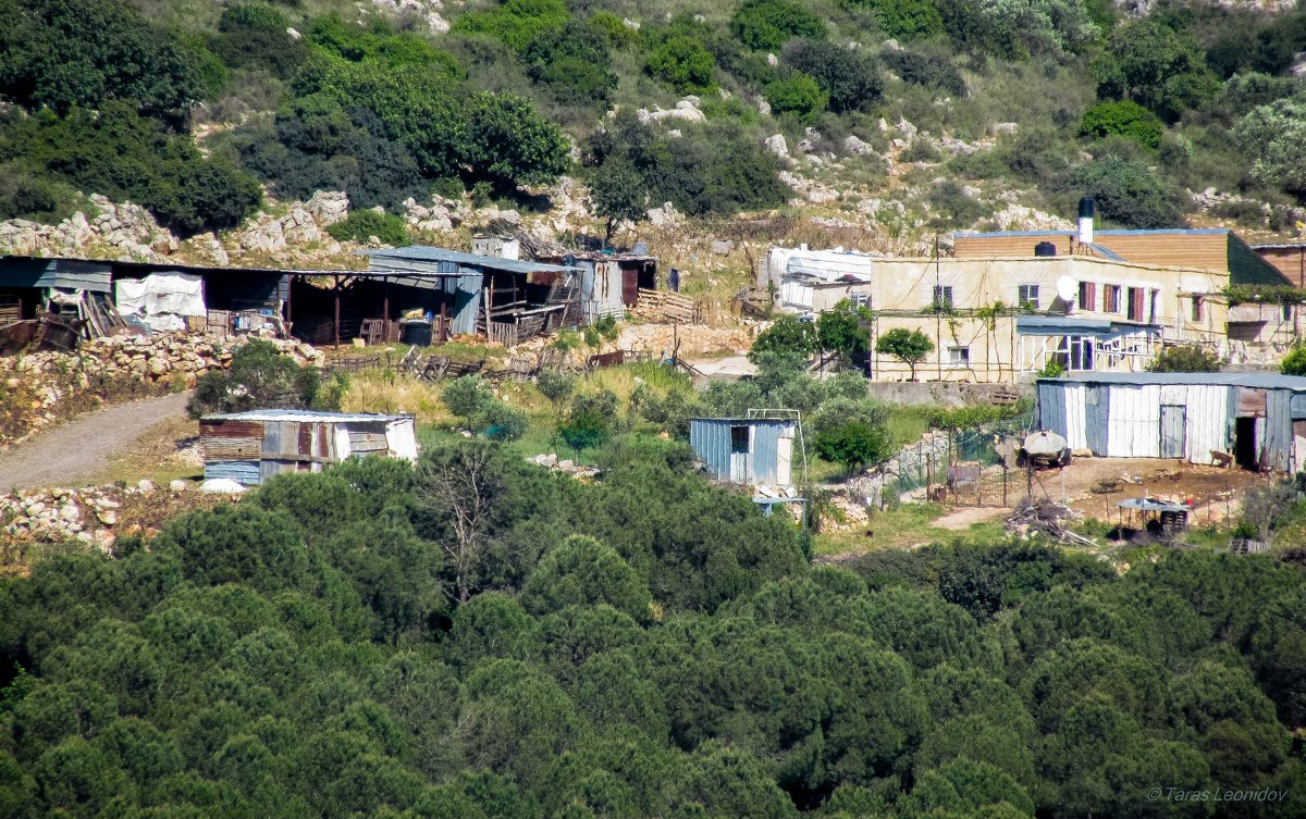 Бедуинская деревня в Галилее - Тарас Леонидов