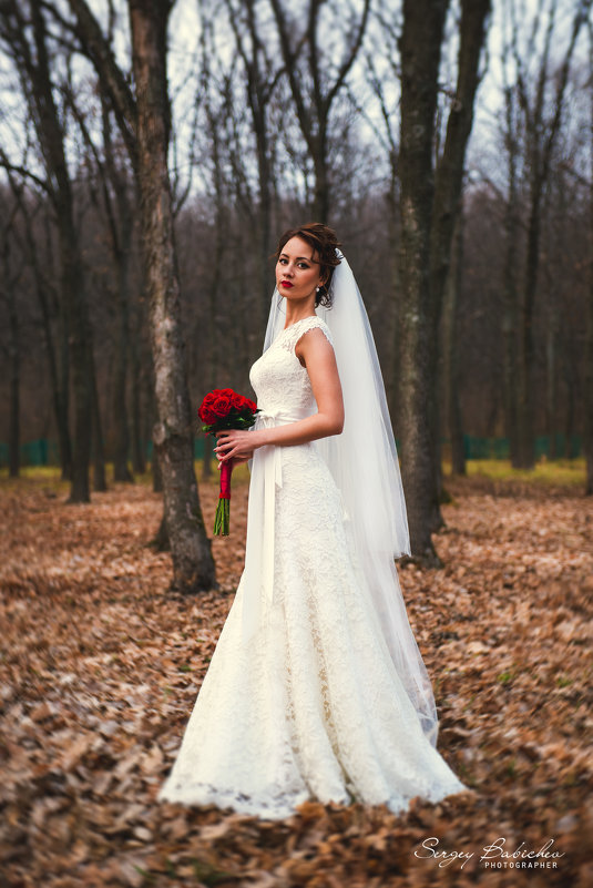 The autumn bride - Сергей Бабичев