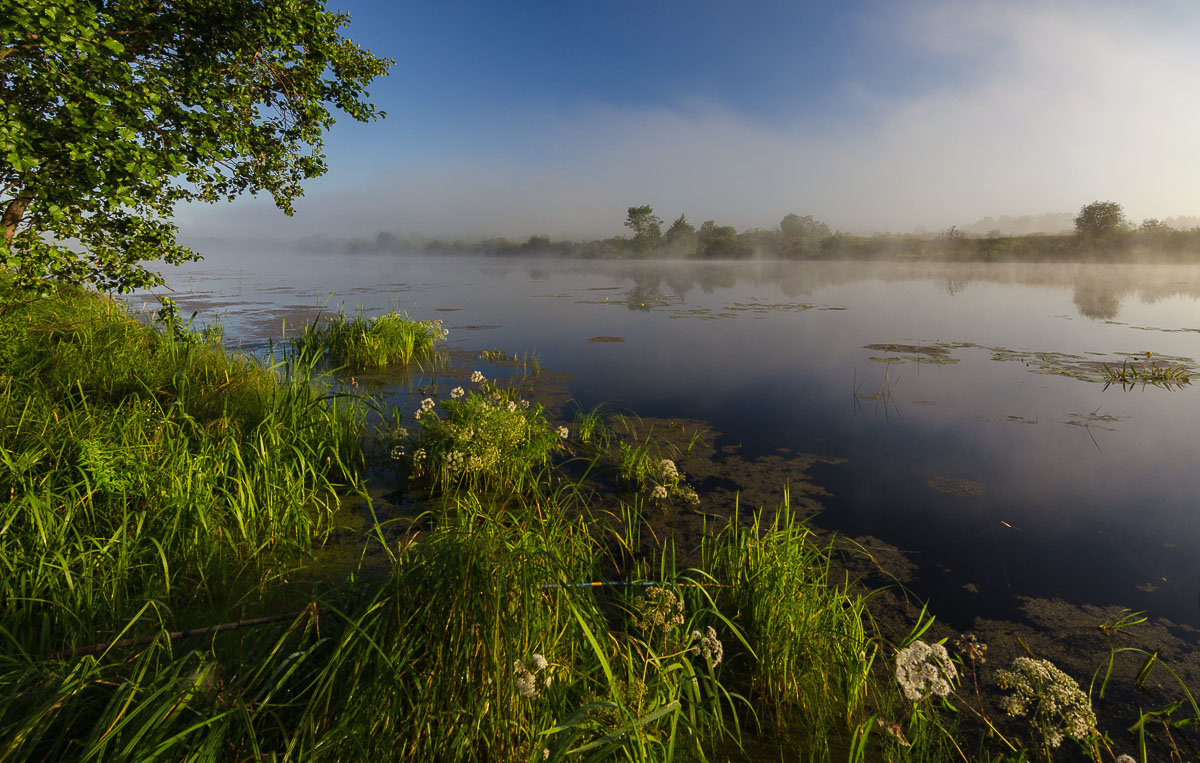 Утро на озере - Валентин Котляров