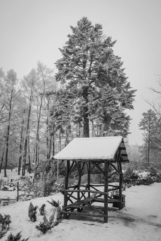 Первый снег - Андрей Нибылица