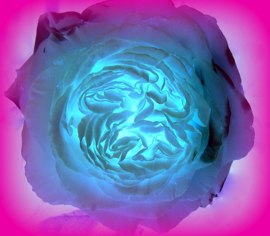 Розы голубой, душа. Эксперименты - Елена Солнечная