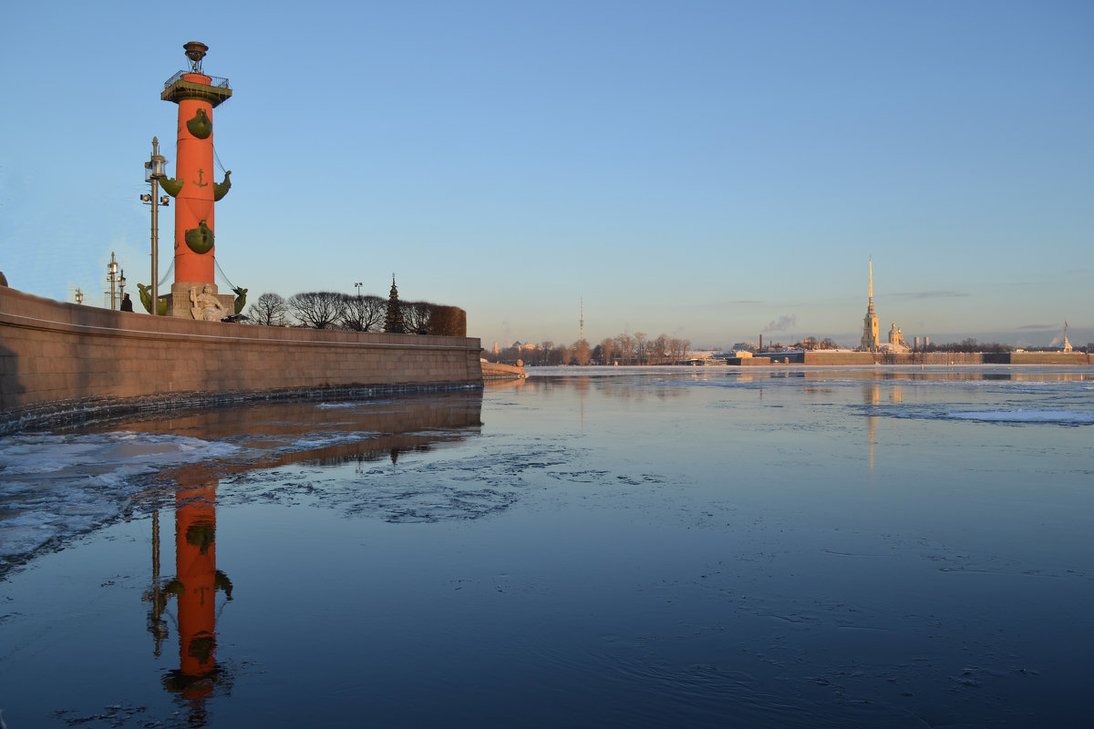 Петербург в отражениях - Наталья Левина