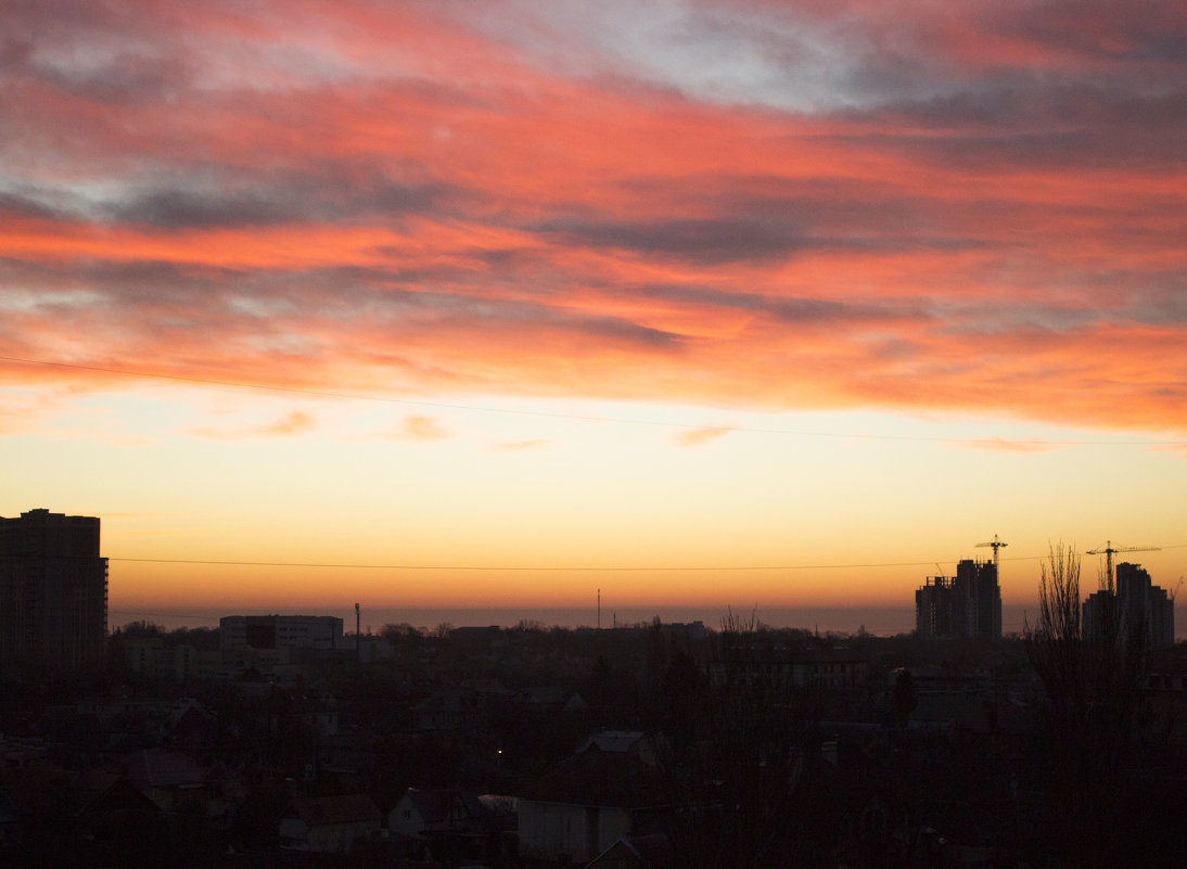 утренний вид с балкона Одесса 25 декабря 2014год - Татьяна Счастливая