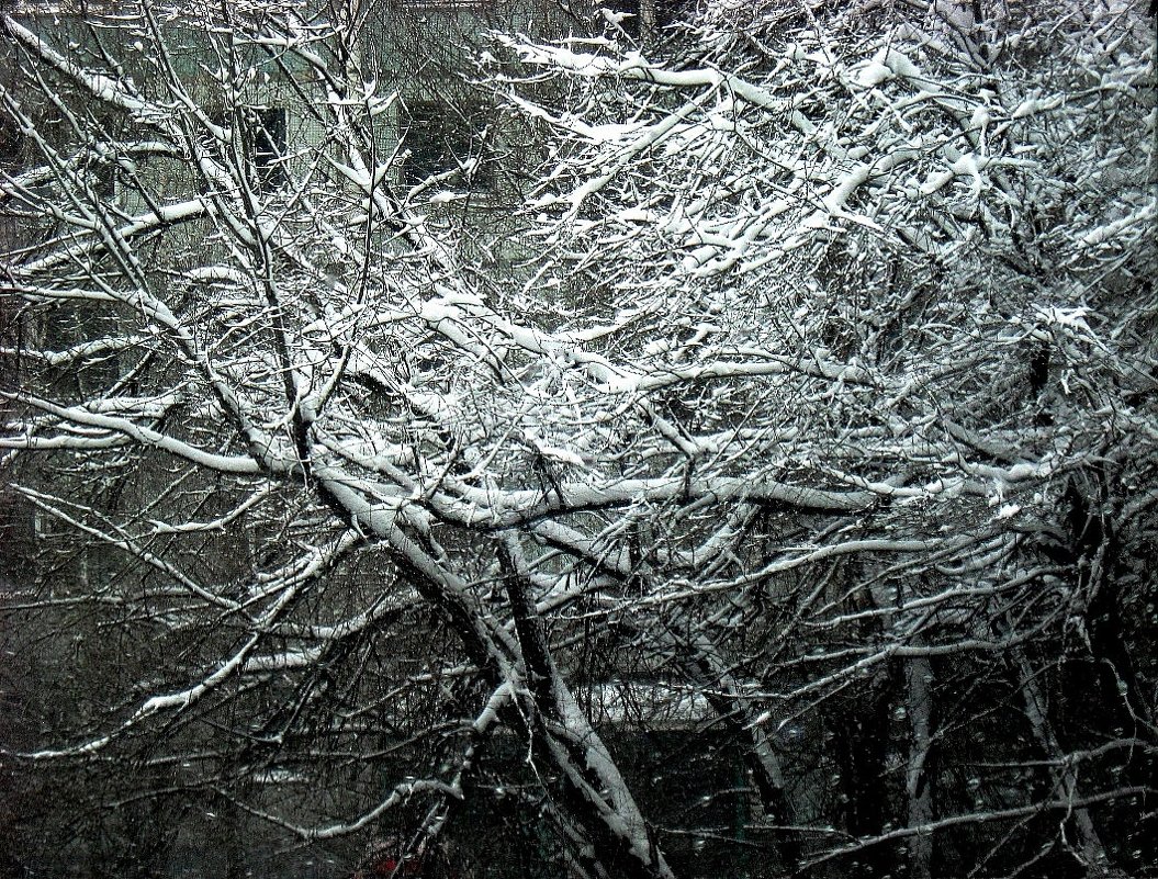Ночной снегопад за моим окном - Natali 