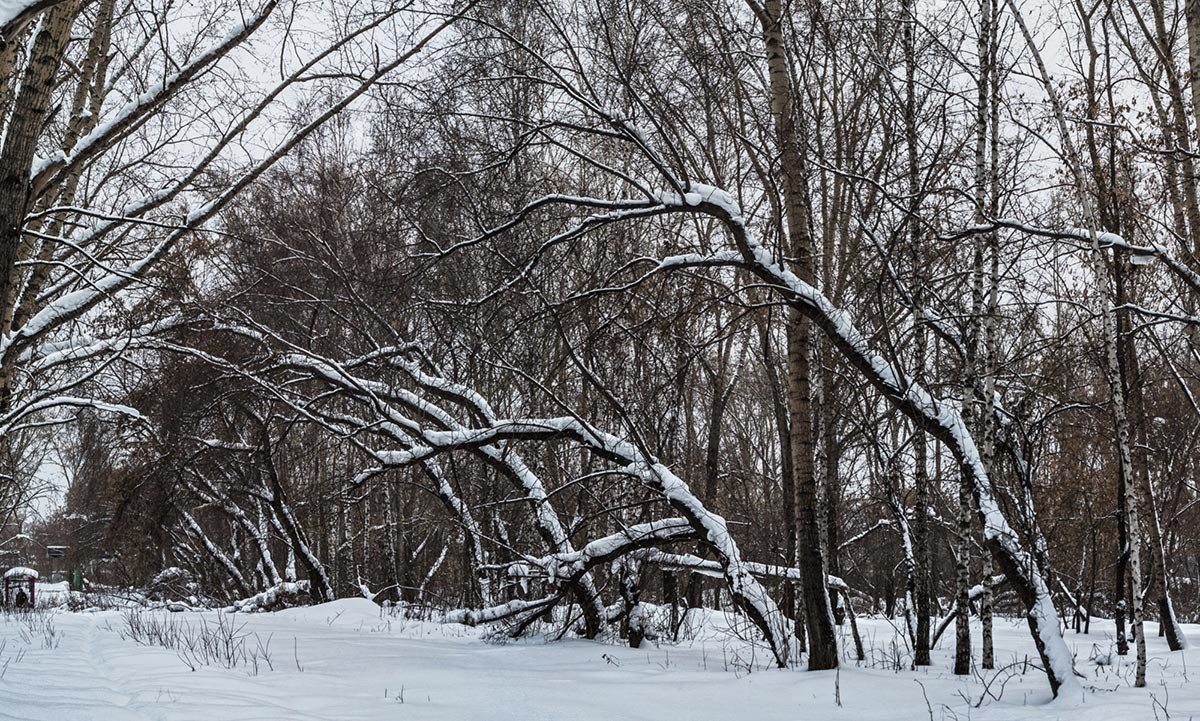 Пейзаж - Nn semonov_nn