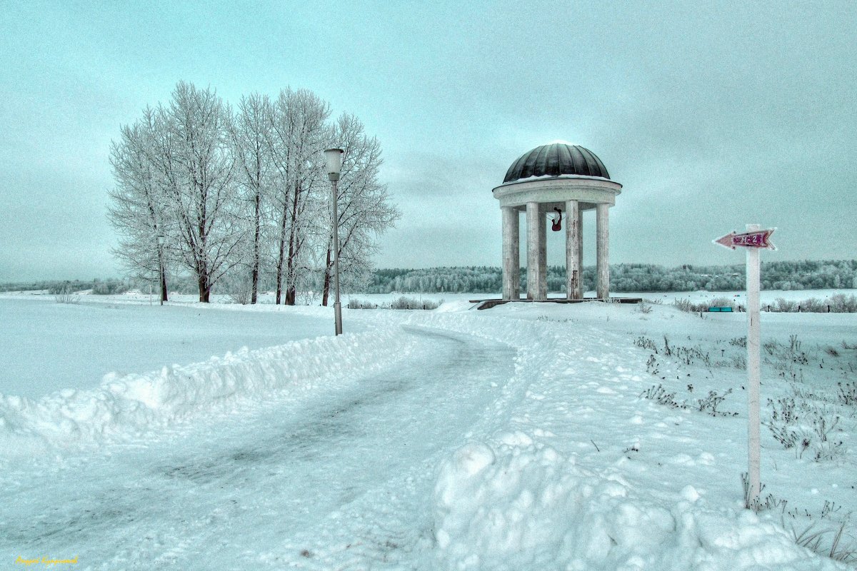 Зимние прогулки - Андрей Куприянов