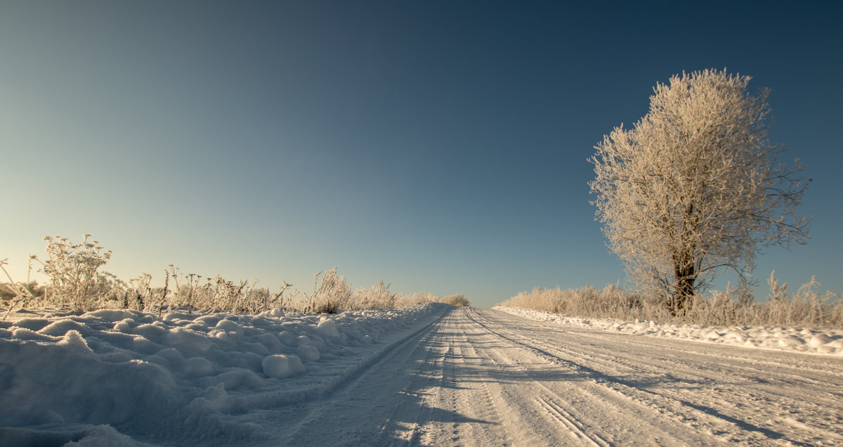 зимняя дорога - Павел 
