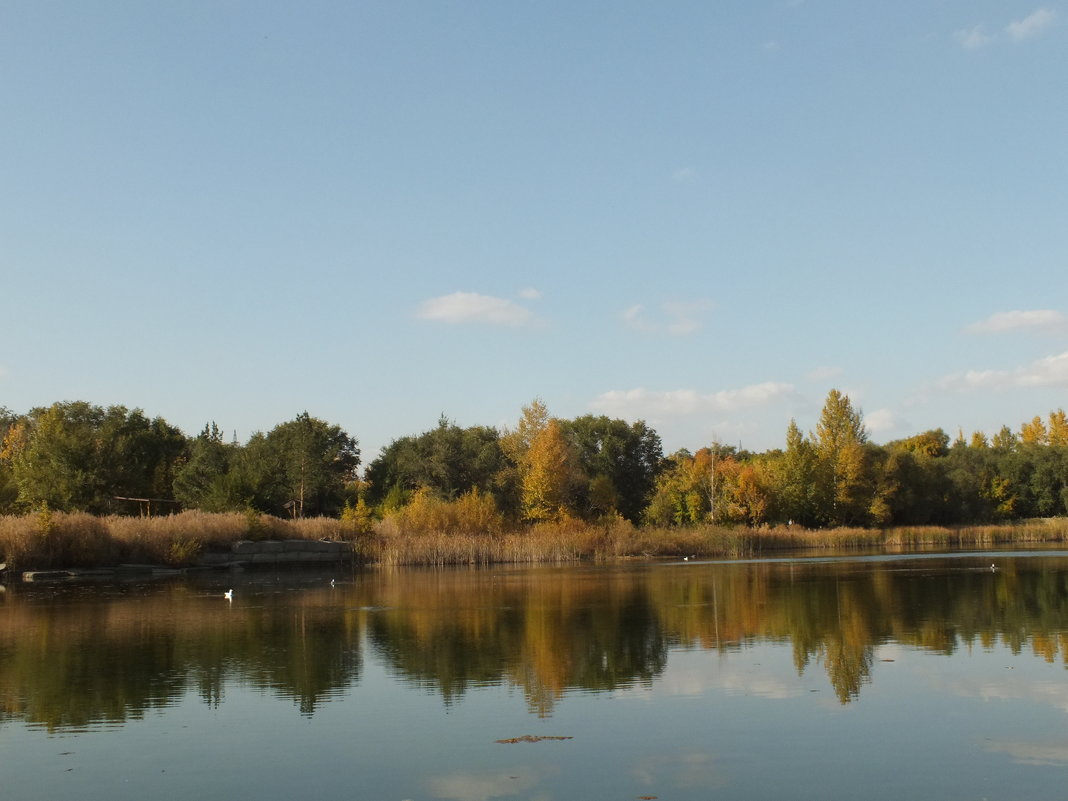 342. В парке осенью - Александр 