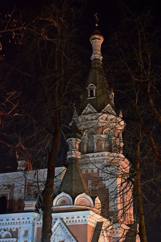 Купол Покровского Кафедрального Собора в Гродно - Александр Стах