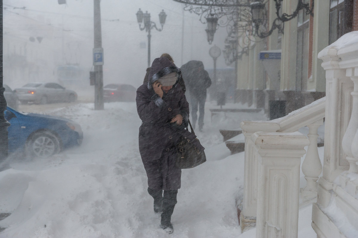 Зима в Южной Пальмире - Сергей Волков