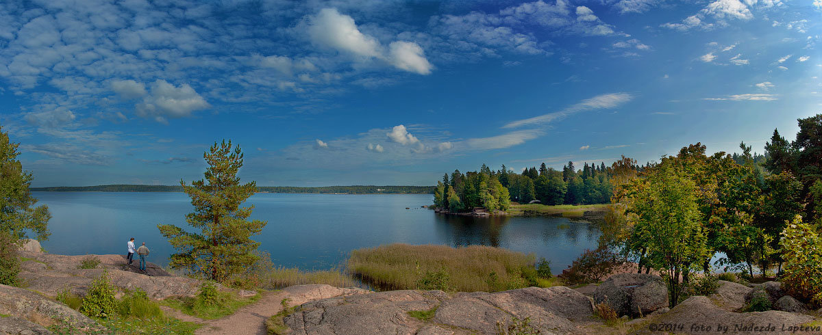 Панорама берега Финского залива в парке Монрепо - Надежда Лаптева