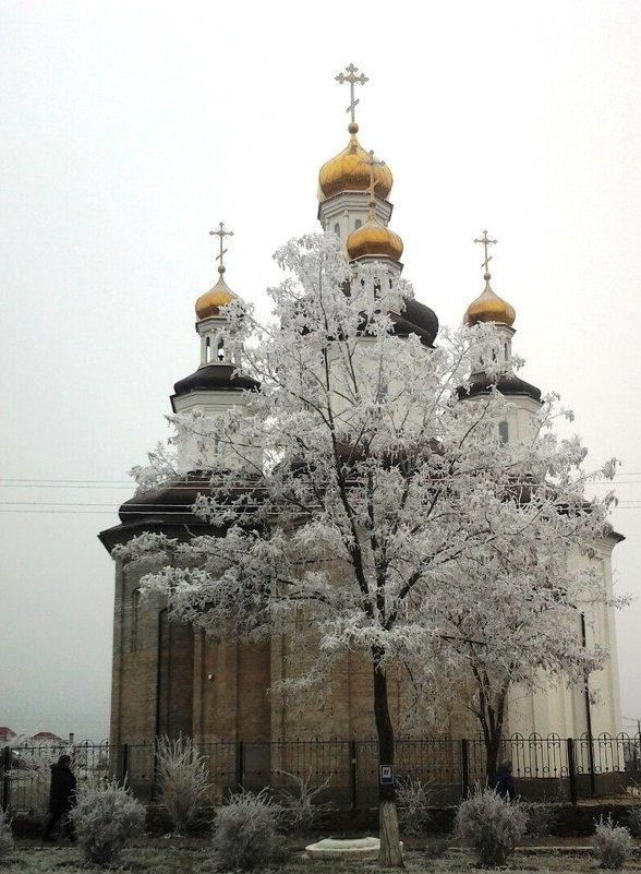 mariupol - кисляк олег 