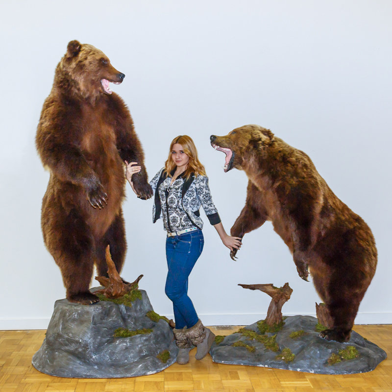 Девушка и два медведя - Николай Ефремов