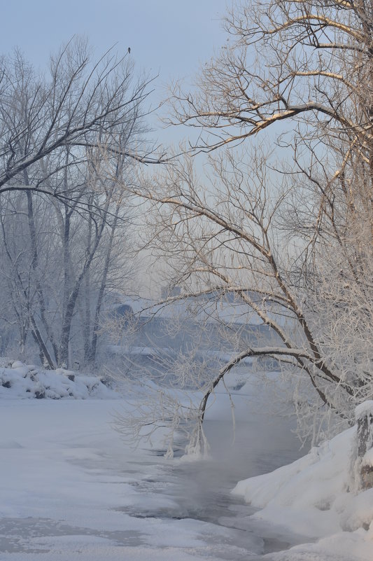 Горно-Алтайск,р.Майма,морозным утром. - Сергей Ленкин