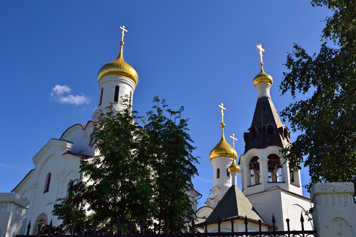 Свято-Вознесенский кафедральный собор - Ольга 