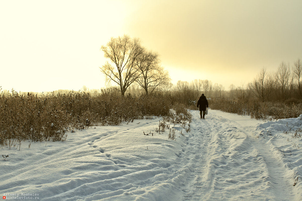 Природа Оренбуржья зимой