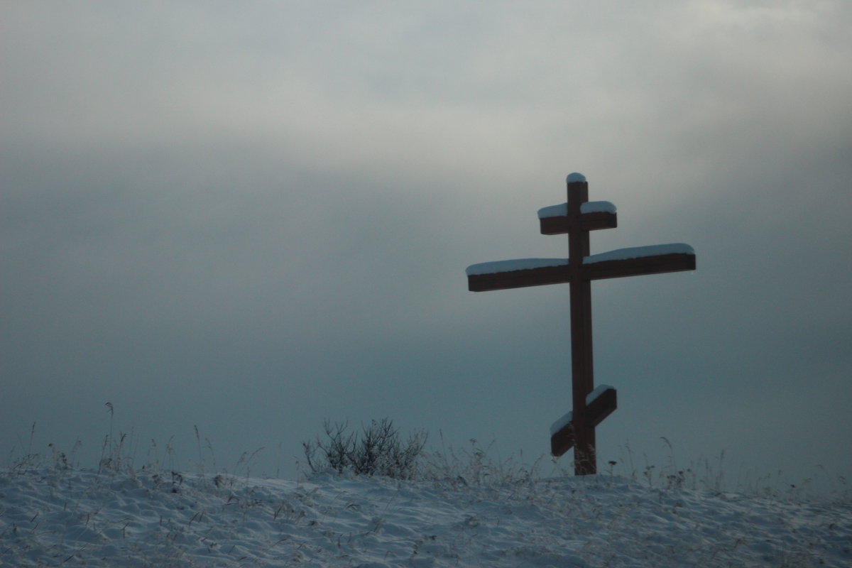 Крест вечной жизни - Мария Дроговоз