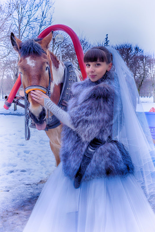 Юлия и забавный конь - dasik tarasova