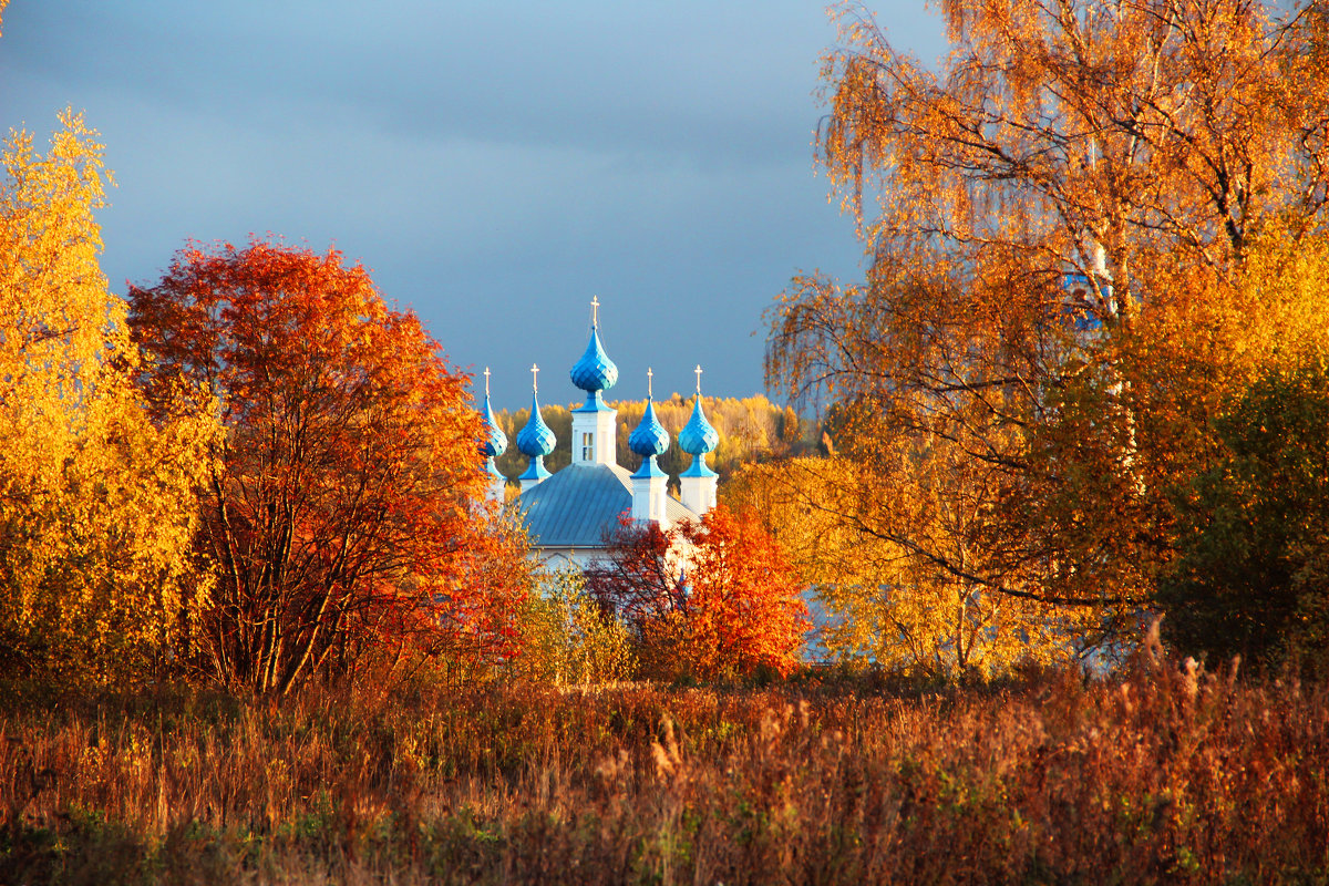 с Домнино - Краснов  Ю Ф 